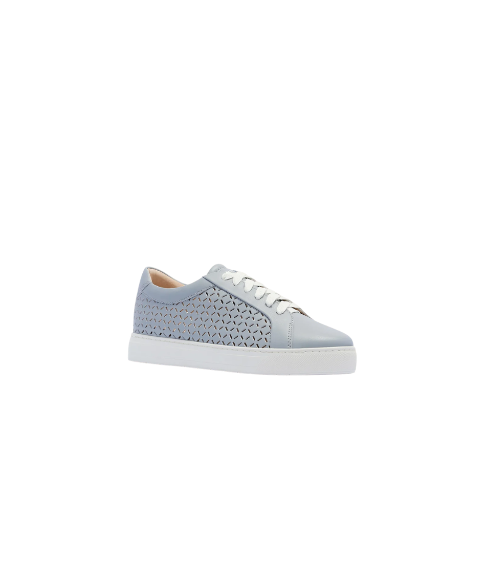 Frankie4 Mim V Bluish Lattice