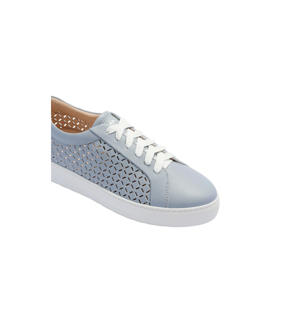 Frankie4 Mim V Bluish Lattice